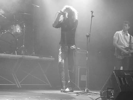 The Doors Tribute Band - Lizard Celebration