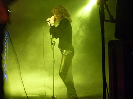 The Doors Tribute Band - Lizard Celebration